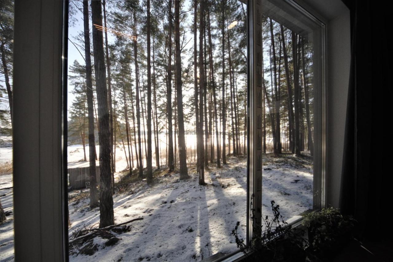 Gaujaclub - Our Bose And Bang&Olufsen Lofts On A Lake Gauja  Eksteriør billede