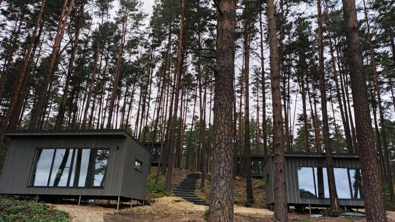 Gaujaclub - Our Bose And Bang&Olufsen Lofts On A Lake Gauja  Eksteriør billede