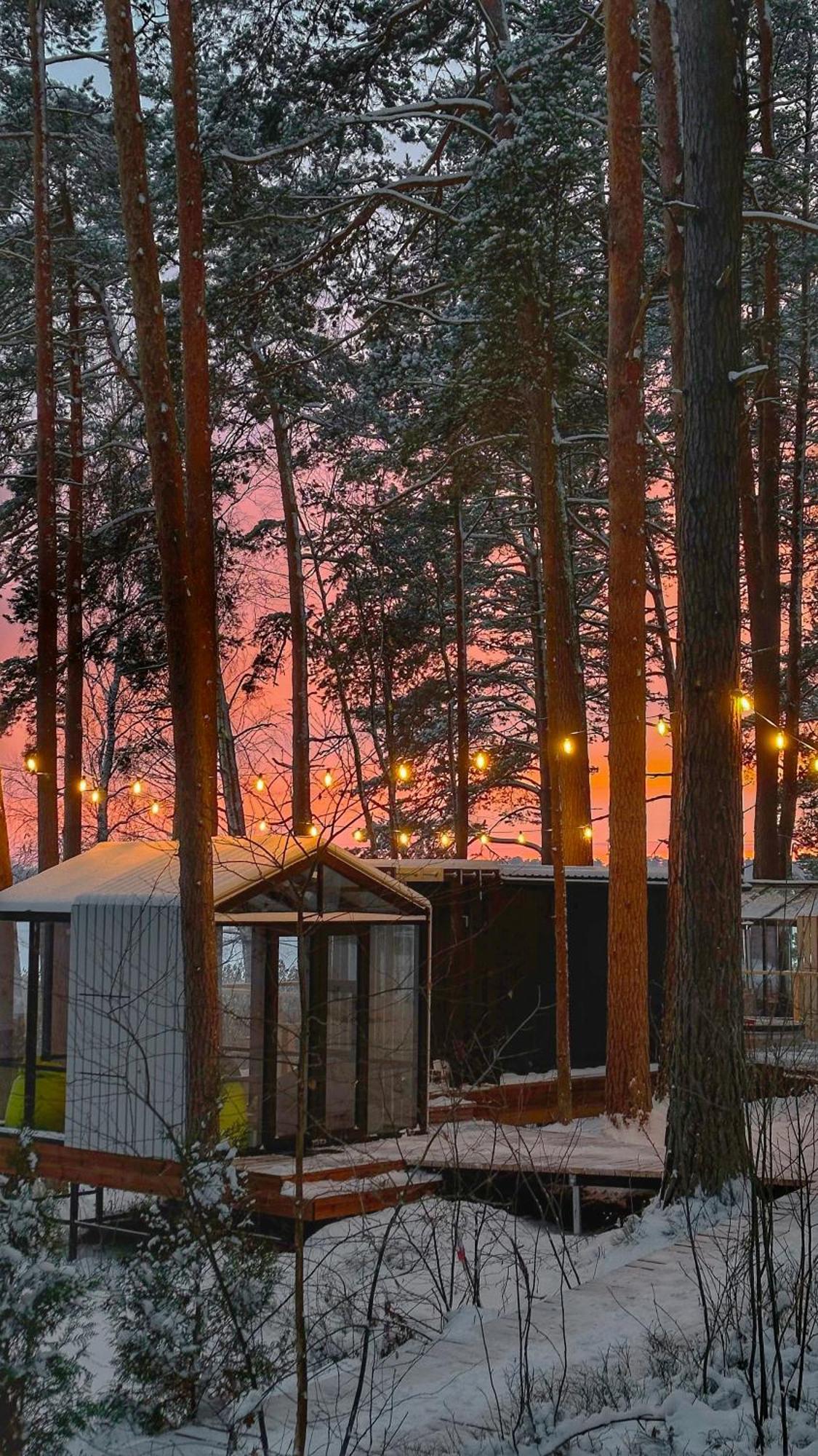 Gaujaclub - Our Bose And Bang&Olufsen Lofts On A Lake Gauja  Eksteriør billede