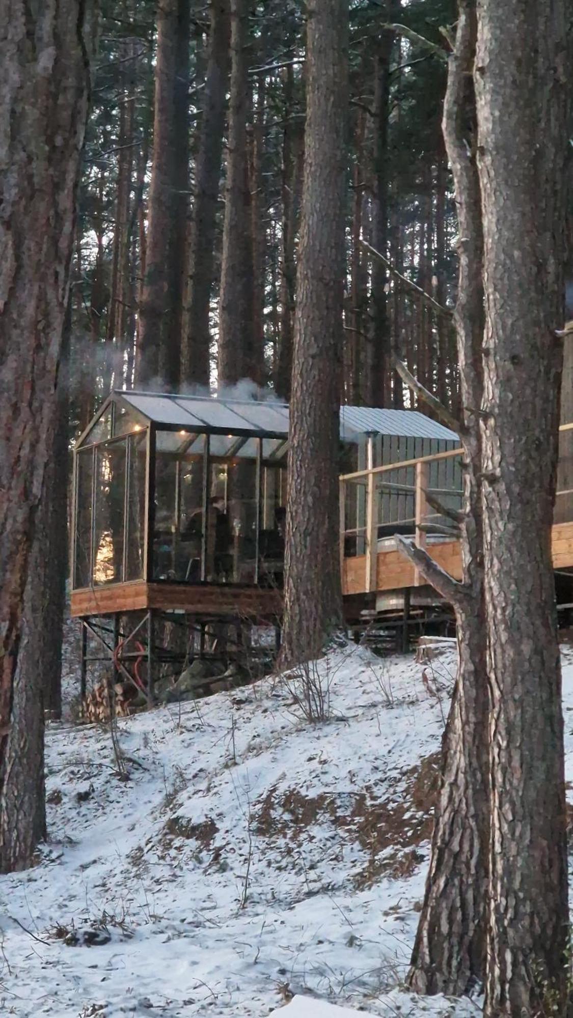 Gaujaclub - Our Bose And Bang&Olufsen Lofts On A Lake Gauja  Eksteriør billede