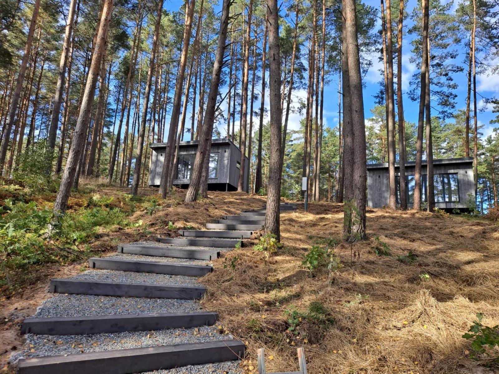 Gaujaclub - Our Bose And Bang&Olufsen Lofts On A Lake Gauja  Eksteriør billede