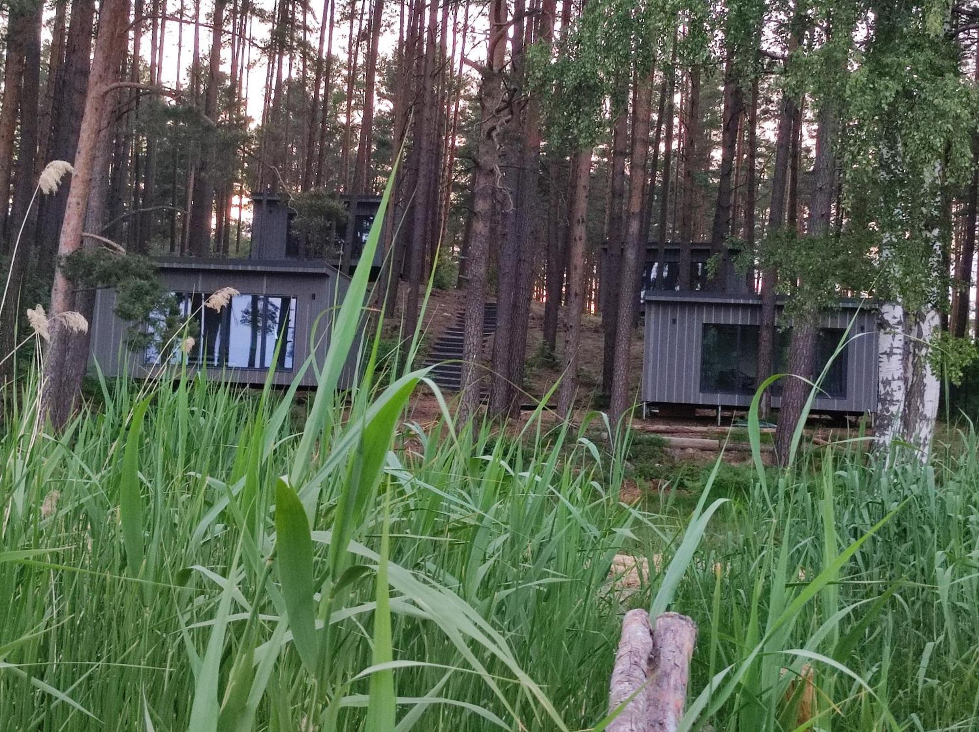 Gaujaclub - Our Bose And Bang&Olufsen Lofts On A Lake Gauja  Eksteriør billede