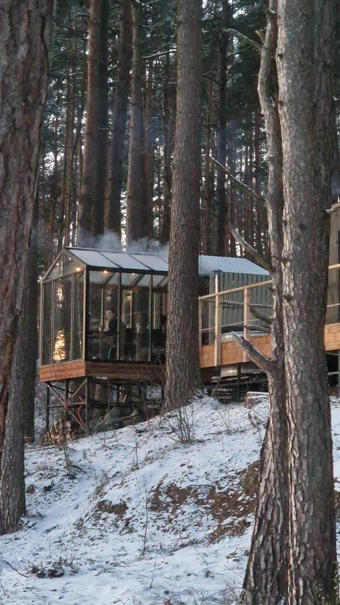 Gaujaclub - Our Bose And Bang&Olufsen Lofts On A Lake Gauja  Eksteriør billede