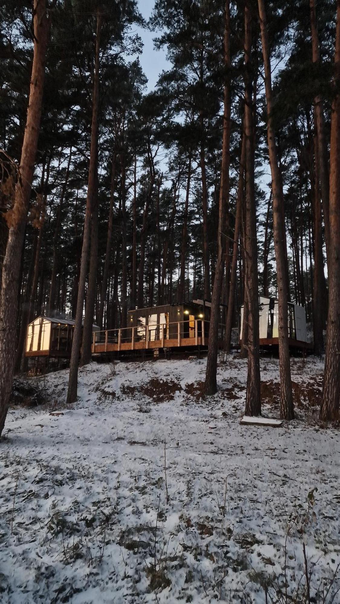 Gaujaclub - Our Bose And Bang&Olufsen Lofts On A Lake Gauja  Eksteriør billede